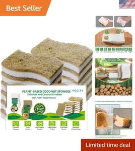Küchenschwämme Natur Geschirrschwamm umweltfreundlich biologisch abbaubar 12er Pack - Bild 1 von 9