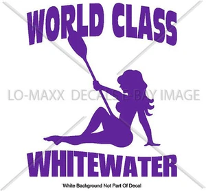 World Class Whitewater River Adventure Boating Accessories Die Cut Vinyl Decal - Picture 1 of 18