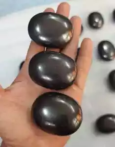 Pietra di palma shungite / pietra tascabile per purificazione, chiarezza e protezione EMF. - Foto 1 di 8