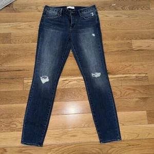 Articles of Society Women Size 28 Blue Ankle Skinny Jeans Redan Wash NWOT - Picture 1 of 15