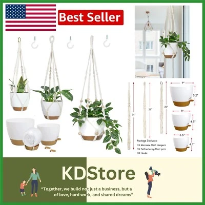 Plantas colgantes boho ligeras con diseño de autoservicio - 3 tamaños incluidos Foto 1 de 4