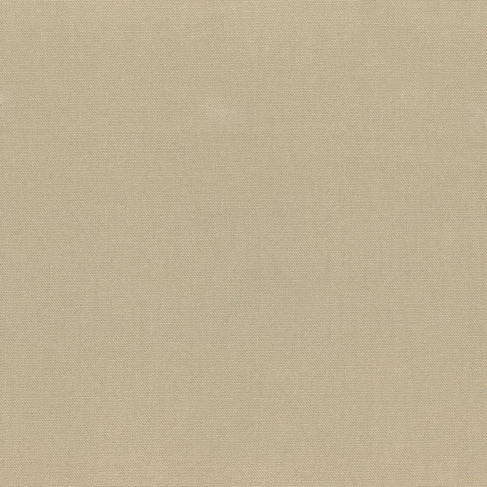 Tela de estante de piedra de pantano Foto 1 de 1