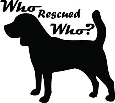 Who Rescued Who Dog Quote Perros Animal Habitación Pegatina de Pared Vinilo Arte Calcomanías Decoración Foto 1 de 3