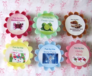 UNIQUE Gift Box Lot of 6 Handmade Highly Scented Soy Wax Tart melts not Yankee - Picture 1 of 4