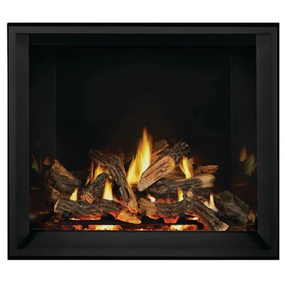 NEW Napoleon EX42PTEL 42" Elevation Series Gas Propane Fireplace with Remote - Image 1 of 4