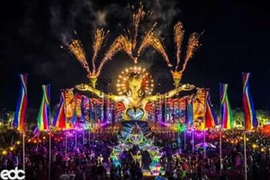 Electric Daisy Carnival EDC Live Events DJ-Sets 256GB USB SPECIAL (2011 - 2025) - Foto 1 di 10