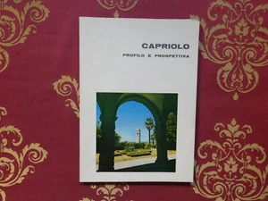 Capriolo profilo e prospettiva Brescia volume n 830 - Foto 1 di 4