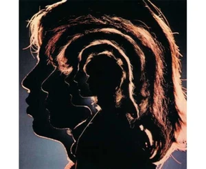 The Rolling Stones: Hot Rocks 1964 - 1971 (Greatest Hits) 2 LP, 180 Grams Vinyl - Picture 1 of 1