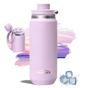 20 Oz Insulated Water Bottle With Straw Lid Reusable Stainless Steel Sports Wate - Picture 1 of 9