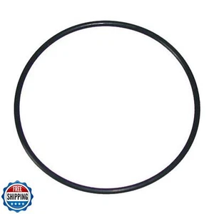 Waterway Hi-Flo Series Pump Trap Lid O-Ring 6" O-318 805-0436 - Imagen 1 de 1