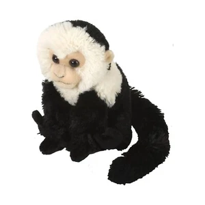 Cuddlekins Mini Black Capuchin 8 Inch Stuffed Animal NEW IN STOCK - Picture 1 of 3