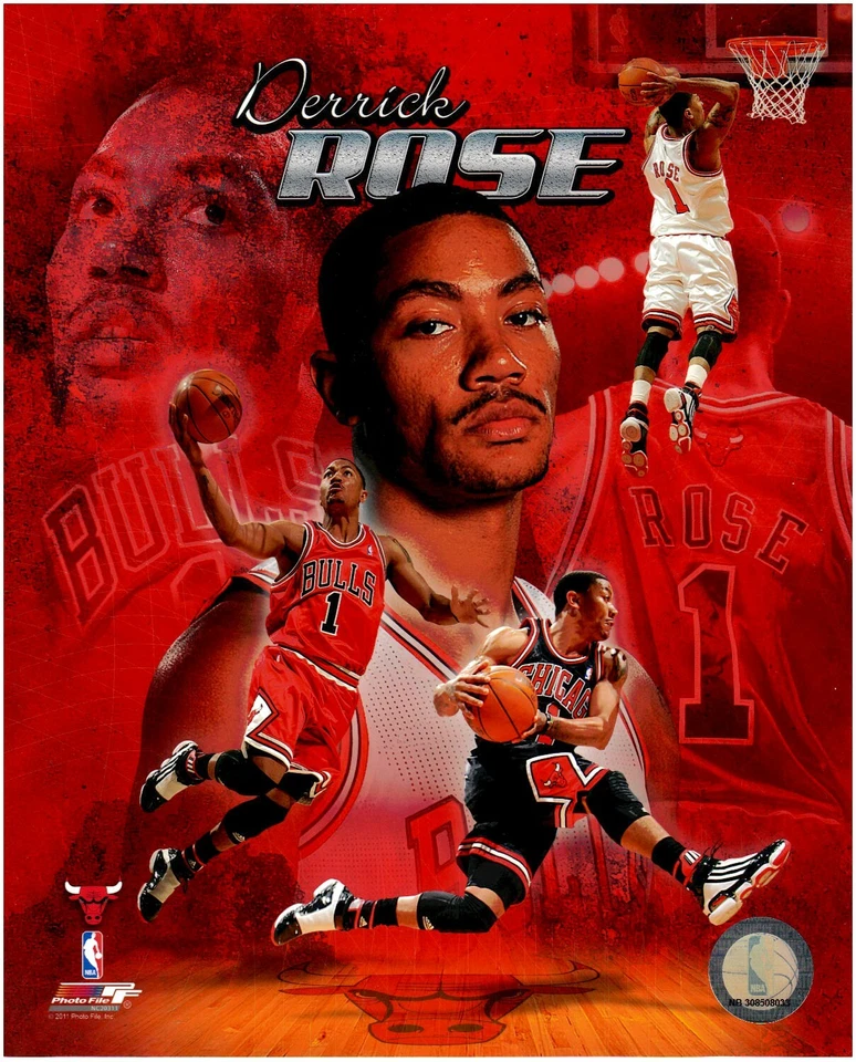 Derrick Rose-Chicago Bulls LICENSED 8x10 Basketball Photo Collage - Image 1 of 1
