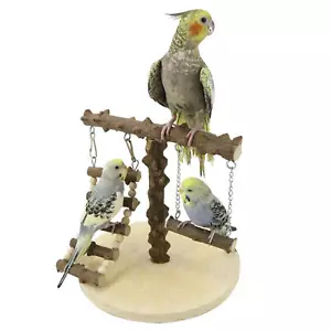 Bird Play Stand Cockatiel Playground Parrot Wood Perch Gym Toys - Picture 1 of 6