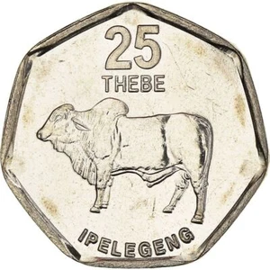Batswana 25 Thebe Coin | Zebu | 1998 - 2009 - Picture 1 of 4