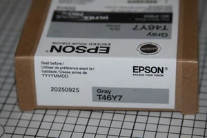 Genuine Epson UltraChrome PRO10 Ink Cartridge Gray T46Y7 (P900) exp 2025 - Picture 1 of 1