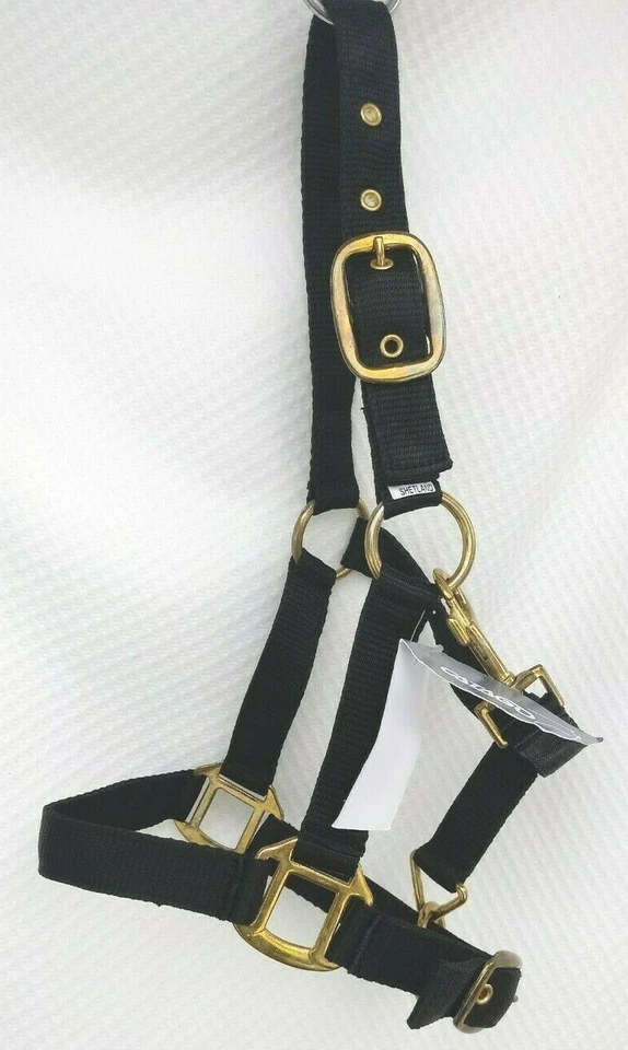 Catago Halfter Nylonhalfter 2fach verst.Fohlen Mini Shetty +Pony Fohlen schwarz - Bild 1 von 4