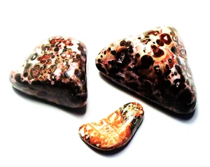 100cts LOT POLISHED LEOPARD SKIN JASPER MEXICO # 82 - Picture 1 of 1