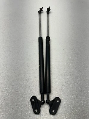 Toyota 4Runner 2000-2004 puerta trasera maletero escotilla puntales OEM 242016 Foto 1 de 4