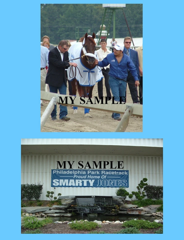 2 fotos Smarty Jones 8" x 10" 2004 retiro Philly Park pista de carreras de caballos #1 Foto 1 de 1