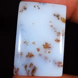 40.00 Cts Natural Scenic Dendritic Agate Cushion Cab Gemstone 19x30x5 mm WR242 - Picture 1 of 7