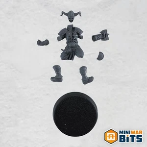 Norsca Rampagers Norse Raider Lineman 2 - Norse Blood Bowl Team - Picture 1 of 1