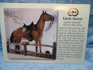 Postal Little Sorrel - Imagen 1 de 2