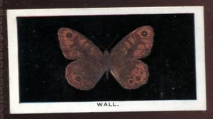 Tobacco Card, Abdulla, BRITISH BUTTERFLIES, 1935, Wall, #17 - Picture 1 of 2
