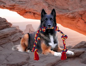Giant Dog Rope Toy For Extra Large Dogs - 48 Inch Long 6 Knot Xxl Dog Rope - Picture 1 of 16
