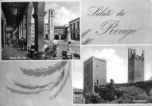 A5274) SALUTI DA ROVIGO. TORRI GRIMANI. - Picture 1 of 2