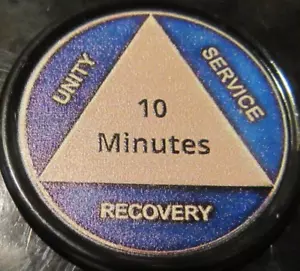 10 MINUTES Alcoholics Anonymous AA Plastic Medallion Token Poker Chips Coin - Picture 1 of 9