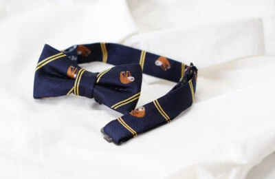 COLORATA / Pajarita Infantil Perezosa Rayas Azul Marino / De Japón Foto 1 de 2