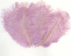 Orchid Ostrich feathers 8-12 inch size per SIX (6) - Picture 1 of 2