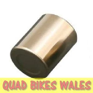 Yamaha 250R 660R Rear Brake Caliper Piston - Image 1 of 1