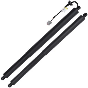 2 Pcs For FORD Explorer 2016-2019 Lift Supports Gas Struts Shocks Springs - Picture 1 of 9
