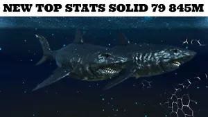 🔥ARK Survival Ascended PvE PC/XBOX/PS5 Top Stats Megalodonte Nero 845m (Squalo) - Foto 1 di 13
