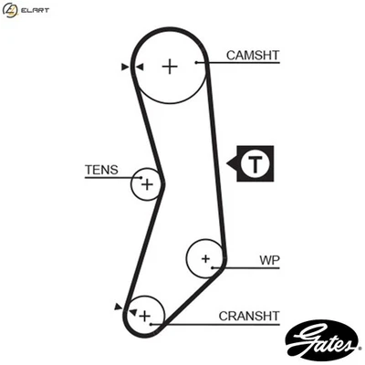 TIMING BELT 5544XS FOR FIAT SEICENTO/600/Hatchback/Van UNO PALIO CINQUECENTO Y - Image 1 of 4