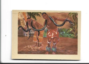 1956 ADVENTUR IVORY COAST SNAKE DANCE #15 & MANNING THE HONEST JOHN #24 - Picture 1 of 4
