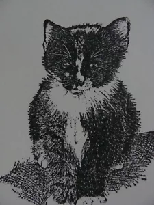 2 Kitten Kitty Cat themed Pictures & Text on cover stock. Frame Or Make Cards - Picture 1 of 9