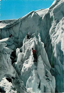 AK - Dolomiten - Marmolada Gletscher - Bergsteiger auf Gletscherspalten - Bild 1 von 2