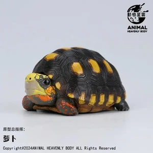 【In-Stock】 Animal Heavenly Body Red-footed Tortoise Statue Geocbelone carbonaria - Picture 1 of 3