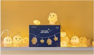 Kakao Friends Garland Light 20-Ball Ryan & Choonsik LED Light Home Bedroom Deco - Picture 1 of 20