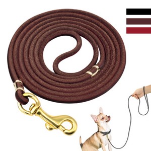 Perros correa con collar de nailon Training Correa Correa Perros correa con collar de nailon Training Correa Correa