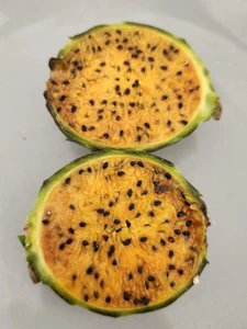 50 Seeds Golden Pitaya Stenocereus queretaroensis Cactus - Picture 1 of 3