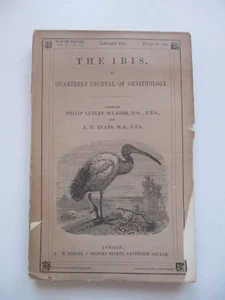 JAN 1911 THE IBIS Journal Ornithology HAND COLOURED BIRD PLATE Map South America - Picture 1 of 15