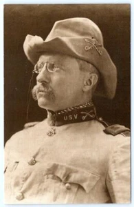 TEODORE ROOSEVELT REIMPRESIÓN MODERNA DE LA DÉCADA DE 1880 LIEB IMAGEN ARCHIVO POSTAL - Imagen 1 de 2