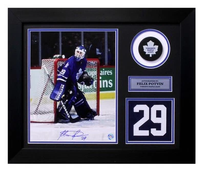 Felix Potvin Toronto Maple Leafs Signed 20x24 Number Frame — 第 1/2 张图片