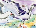 Aceo  Seagulls On Beach Art Feeding  Watercolor Sketch Painting Original  Kenney