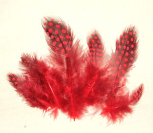 Spotted Guinea Hen Feathers Body Plumage 1-4" 11 colors available 7 grams