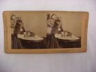 Antique Steroview Photo - Universal - "Won't You Have Some, Kitty " Pet Cat 