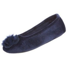 blue ballerina slippers